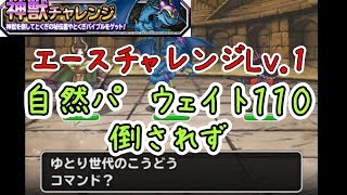 【DQMSL】エースチャレンジLv 1　自然パで倒されずウェイト１１０で　ミッション同時攻略【神獣チャレンジ】