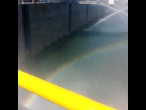 Ecluza Agigea Costanta