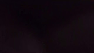 *Zyun*です！とび森のバグ紹介します！【実況】