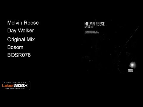Melvin Reese - Day Walker (Original Mix)