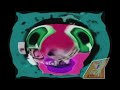 I Killed Klasky Csupo Pitch Shifting Extended Updated