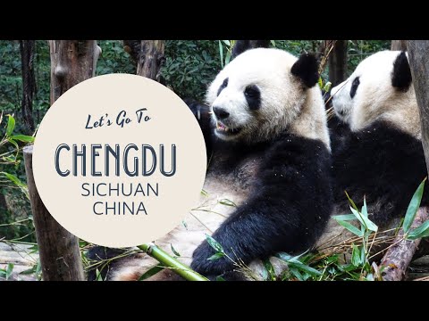 Chengdu - Wenshu Yuan Monastery - Eastern Suburb Memory - Travel China - China Vlog