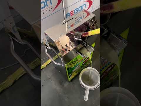 Sugarcane Juice Machine SS202