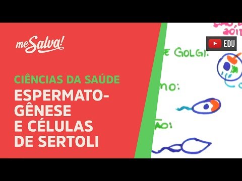Me Salva! SREP02 - Espermatogênese e Células de Sertoli - Histologia Humana