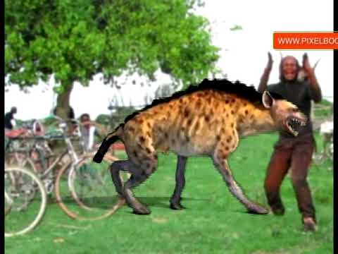 Huu ndo wimbo wa mwisho aliouimba enzi za uhai wake  Ng'wana Matawa..bhuhangwa./.R.I.P  Msanii wetu