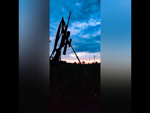 DIANA BYC 12/2023 Cierpliwość to podstawa / Patience is the key