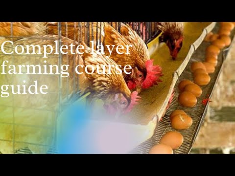 , title : 'COMPLETE LAYER FARMING COURSE GUIDE FOR BEGINNERS part 1'
