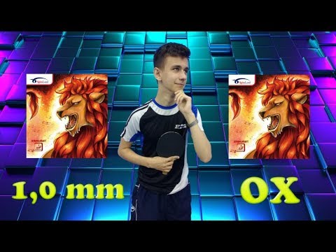 SPINLORD Strahlkraft, what to chosse? 1,0mm or OX? #openpzts #gdansk