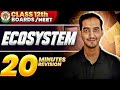 Ecosystem Class 12 Quick Revision NEET CBSE Sourabh Raina