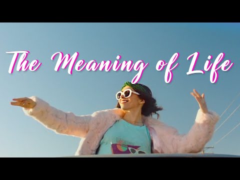 Palm Springs and The Meaning of Life