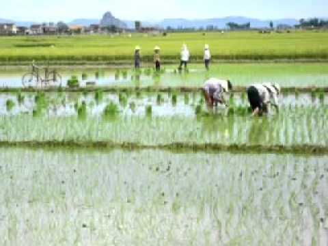Thể hiện bởi Tốp ca