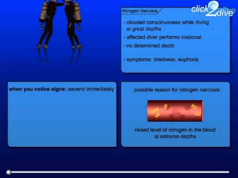 Nitrogen Narcosis