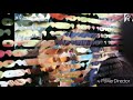 Tere Aage Peeche Kahin Dil Kho Gaya WhatsApp Status