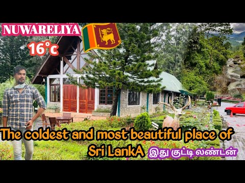 Travel to the coldest place of Sri Lanka | it’s Afshan | Nuwareliya |4K