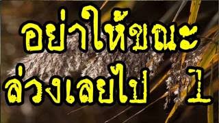 อย่าให้ขณะล่วงเลยไป 1/2   @ พระอาจารย์สมภพ โชติปัญโญ