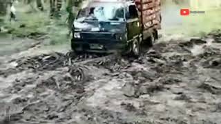 Download lagu Ayam Balap/pick up/.Anak Kalimantan💪🤙 mp3