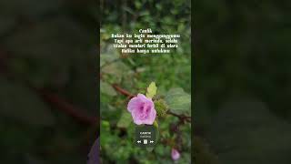 Download lagu Cantik (Kahitna), #kahitna #cantik #beautiful #music #lirik mp3
