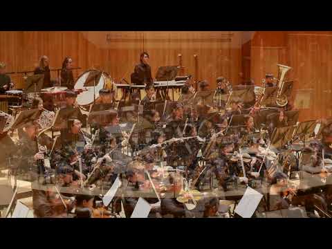 BSYO Concert Orchestra