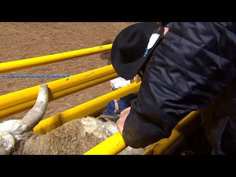 Ky Hamilton | 2023 NFR Round 7