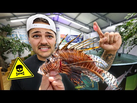 The Most VENOMOUS FISH Arrived for My Saltwater POND!!