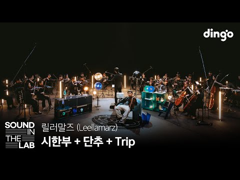 릴러말즈(Leellamarz) - 시한부 + 단추 + Trip | [사운드인더랩] 황홀한 오케스트라 세션 라이브