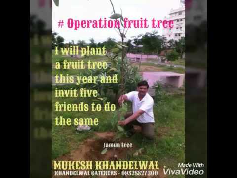 Green Park Vidhyadhar Nagar