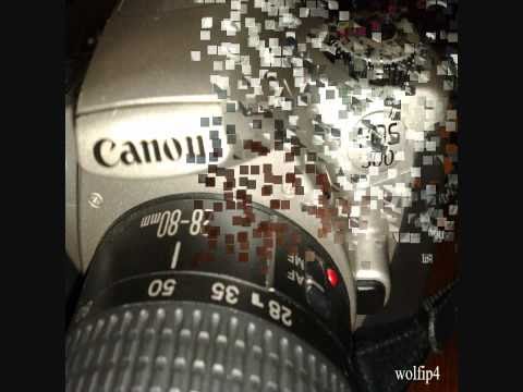 Polaroid Instant 1000 DeLuxe vs Canon EOS 300 vs Sony Cyber-shot DSC W350s