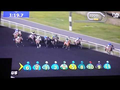 Long John Wins The 2014 UAE 2000 Guineas