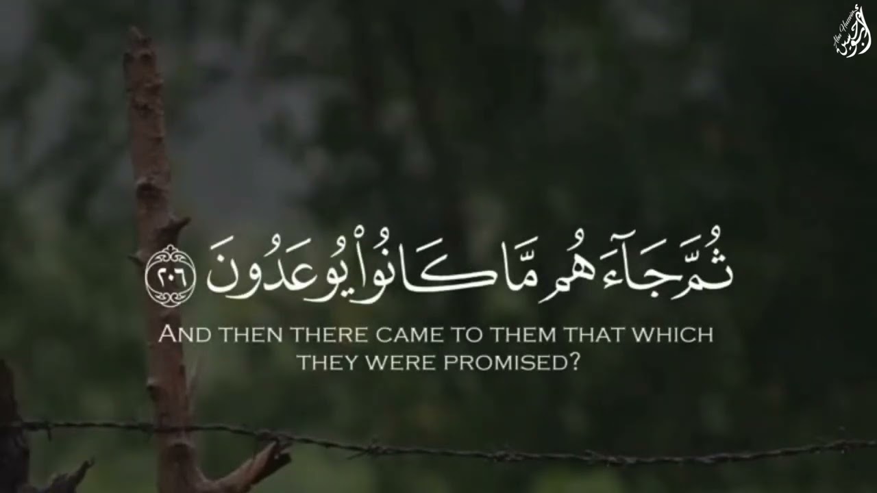أ ف ر أ ي ت إ ن م ت ع ن