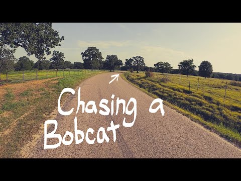 Chasing a Bobcat with Amputee Cyclist, Aaron Smith