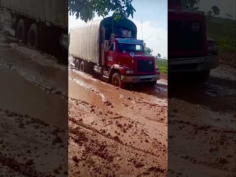 El Jansel Rumbo a Puerto Carreño Vichada 🇨🇴 Trocheros Trucks 🔥 #trucks #offroad