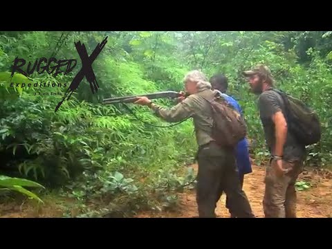 Duiker Hunt in Liberia