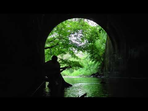 Ricercar (Marco Dall'Aquila, c. 1480- 1538) - nylon string guitar