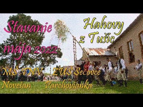 Stavanie mája, Tušice 2022