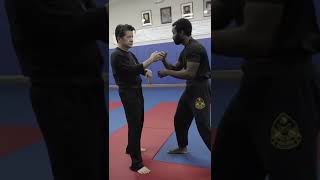 Wing Chun Trapping