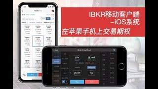 移动IBKR – 在iPhone上交易期权