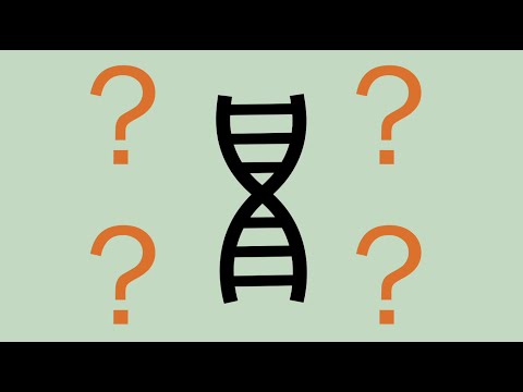 The ethics of CRISPR gene editing with Jennifer Doudna