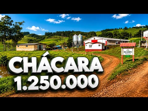 CHÁCARA A VENDA 2 AVIÁRIOS CASA BOA GALPÃO E ÁGUA R$ 1.250.000