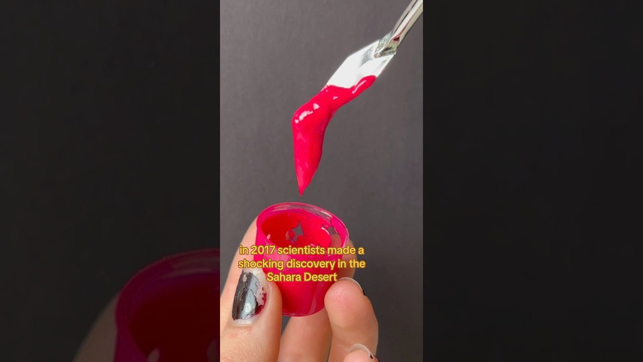 The world’s oldest color is…. NEON PINK?! 🫥 #art #history #arthistory #archaeology #paint #facts