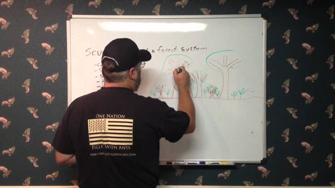 Permaculture with Jack Spirko Part 5 - Forest Layers - YouTube