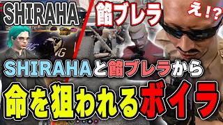 【#ストグラ】SHIRAHAと餡ブレラの２ギャングから命を狙われるボイラ【ボイラ/ストグラ切り抜き】