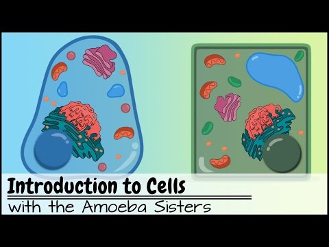 Introduction to Cells: The Grand Cell Tour