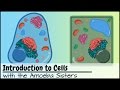 Introduction to Cells: The Grand Cell Tour