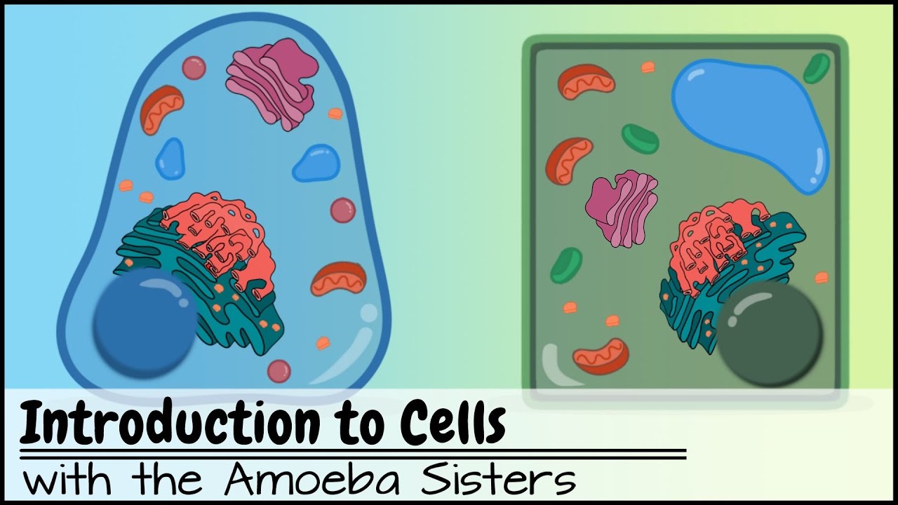 Introduction to Cells: The Grand Cell Tour