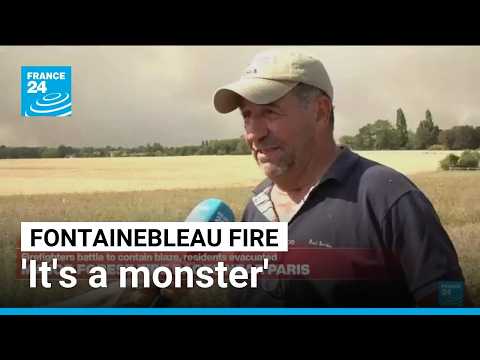'It's a monster': FRANCE 24 speaks to resident evacuated due to the Fontainebleau fire