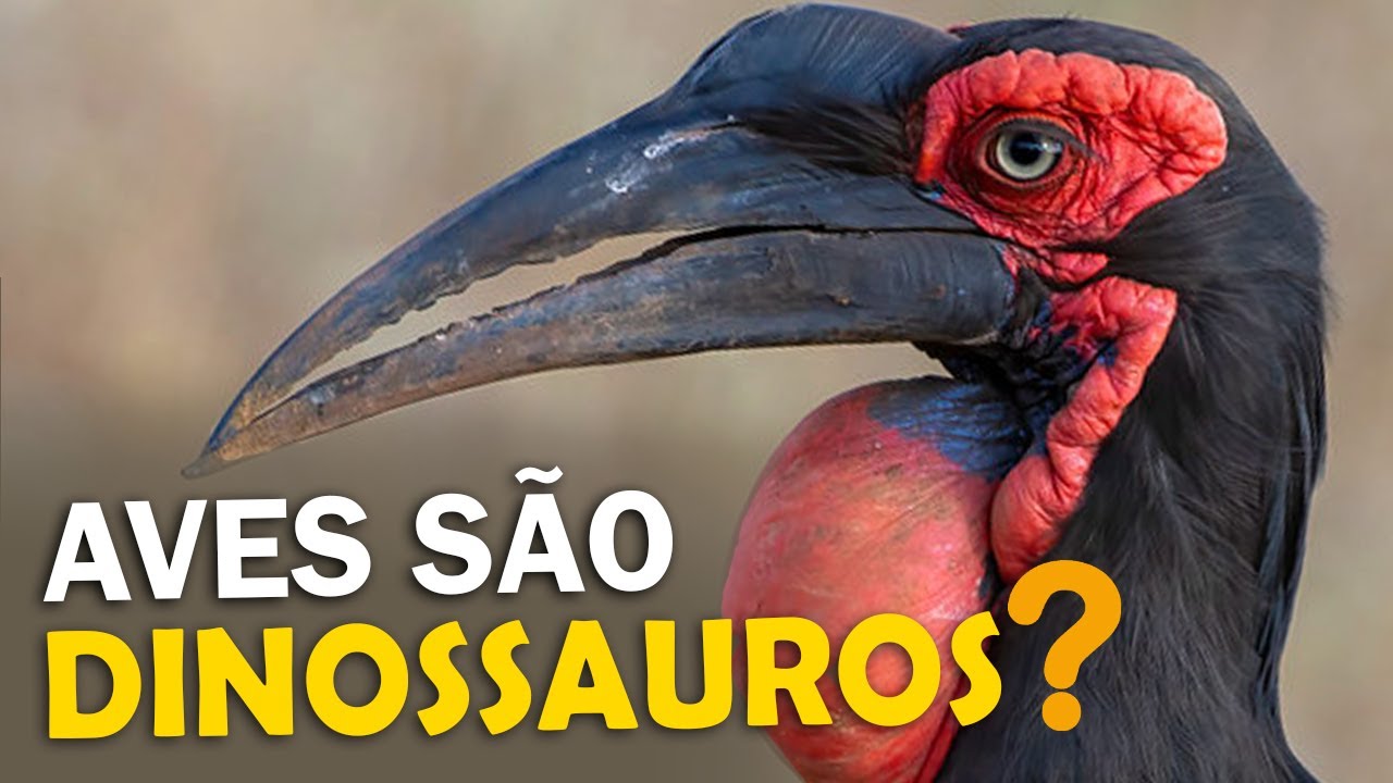 WHY ARE BIRDS DINOSAURS? WHAT IS THE ORIGIN OF BIRDS? How did they survive the asteroid strike?