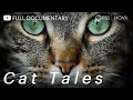 Cat Tales Full Documentary NOVA PBS