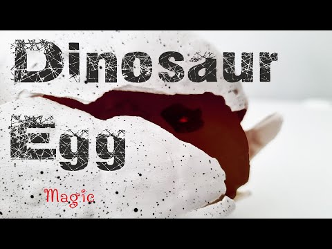 Growing Dinosaur Egg in Water. Растущее яйцо динозавра в воде.