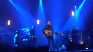 the incredible&quot; david gray live clip  jacksonville 2014