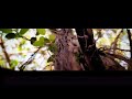 New Malayalam Romantic Status Onnaragam Padi